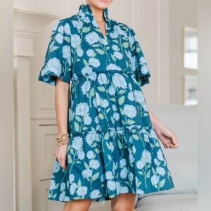 🍃 Shop the Mint floral nursing friendly mini dress size large blue